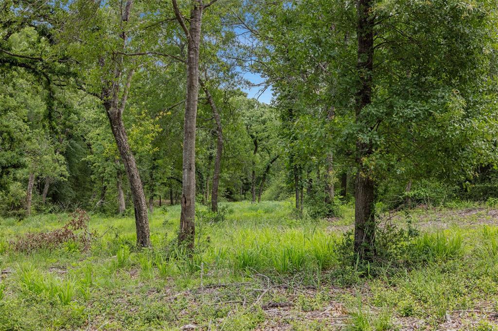 3205 County Road 308, Caldwell, Texas image 24