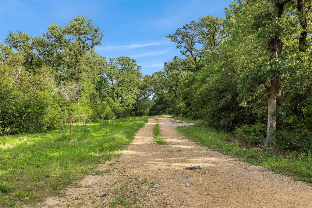 3205 County Road 308, Caldwell, Texas image 33