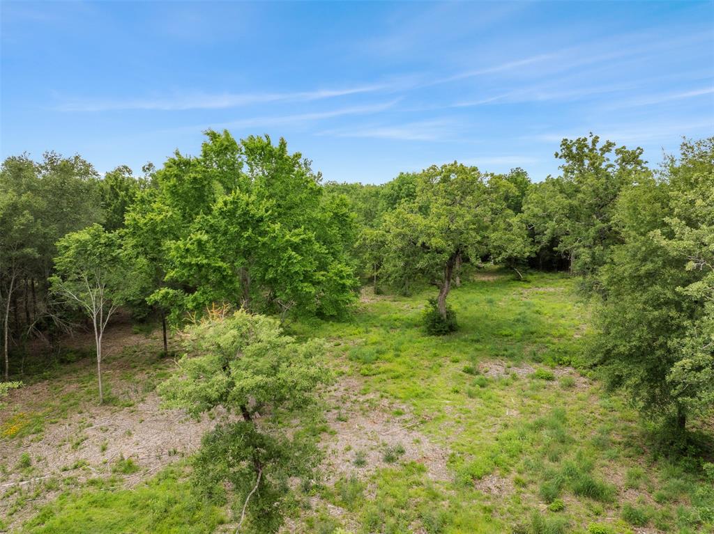 3205 County Road 308, Caldwell, Texas image 34