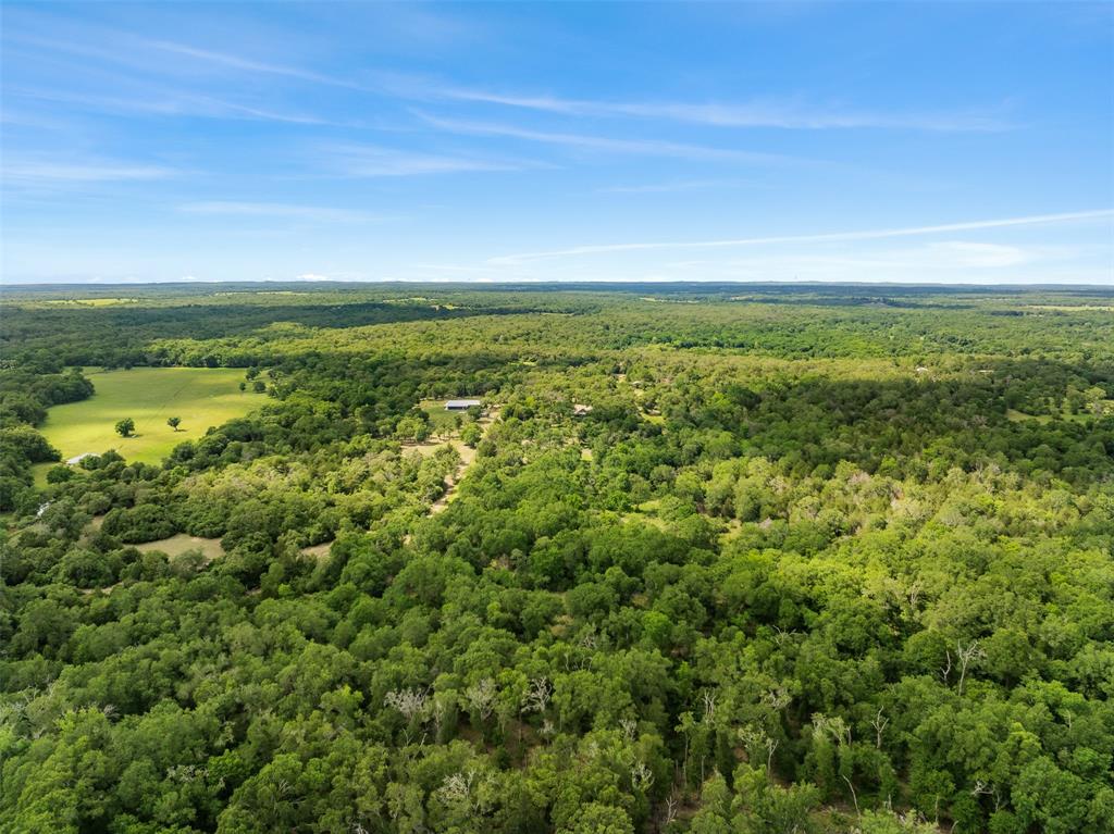 3205 County Road 308, Caldwell, Texas image 36
