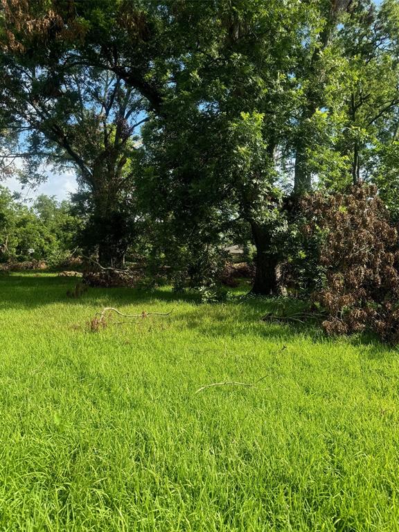 4709 Cavalcade Street, Houston, Texas image 3