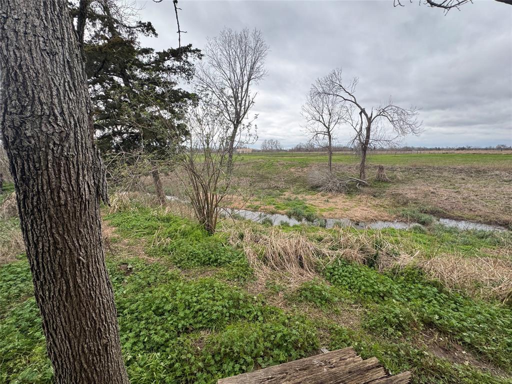 521 Rycade Street, Boling, Texas image 28