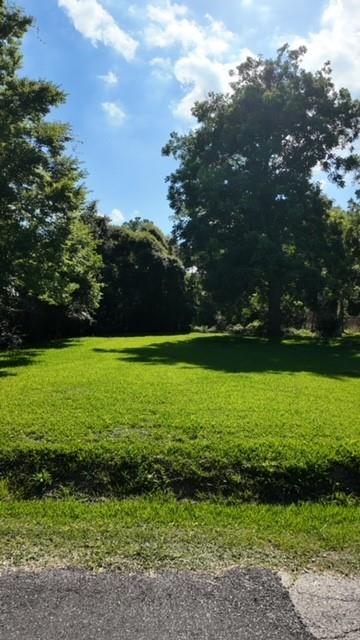 4035 Agnes Street, Beaumont, Texas image 5