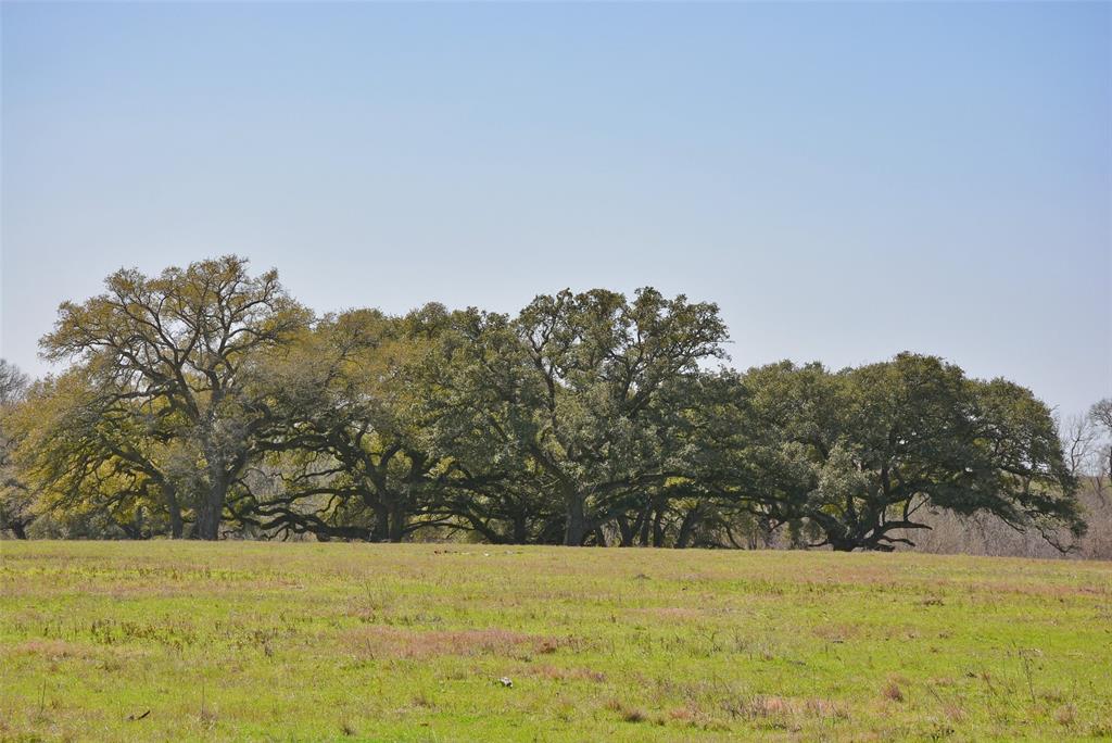 706 Grand Oaks Lane, Brenham, Texas image 8