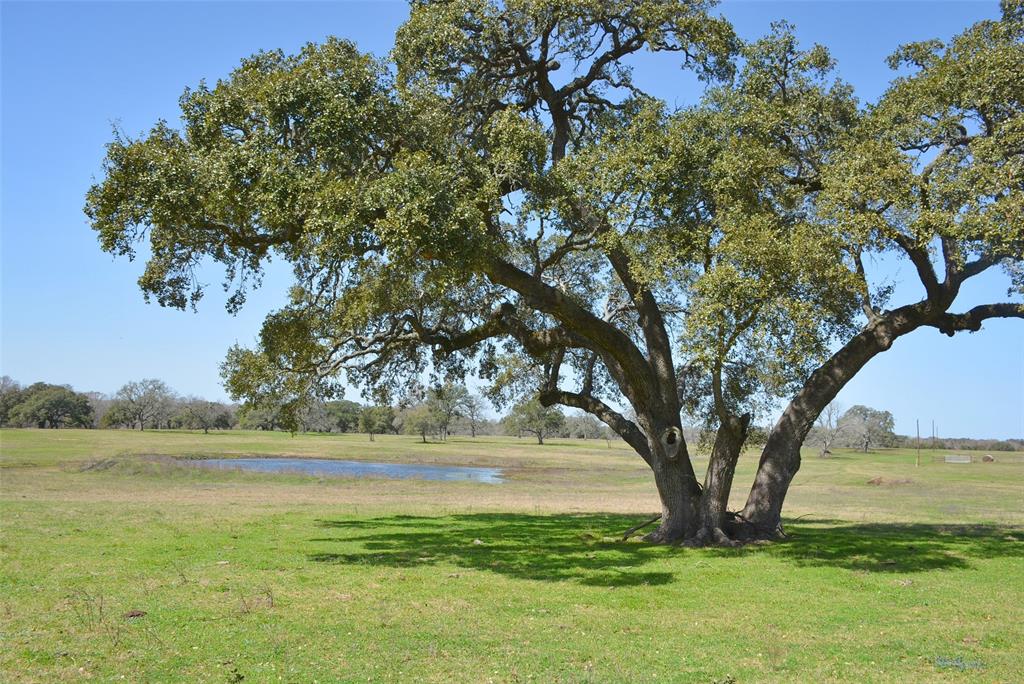 706 Grand Oaks Lane, Brenham, Texas image 10