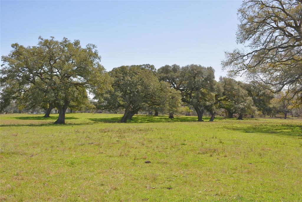706 Grand Oaks Lane, Brenham, Texas image 7