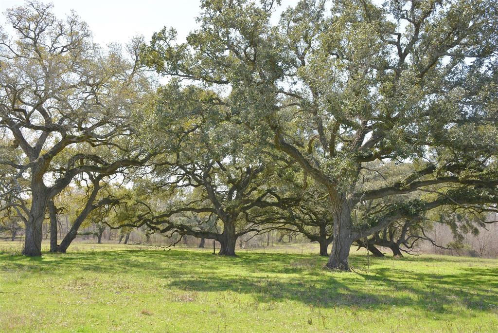 706 Grand Oaks Lane, Brenham, Texas image 1
