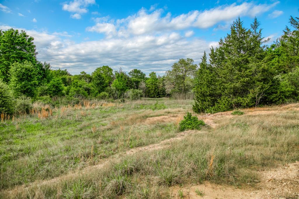 TBD (56.135 Acres) County Road 125, Ledbetter, Texas image 19
