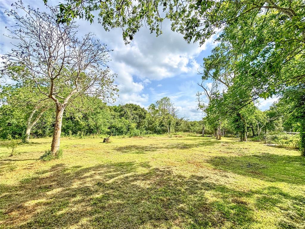 5303 Furnace Road, Manvel, Texas image 10