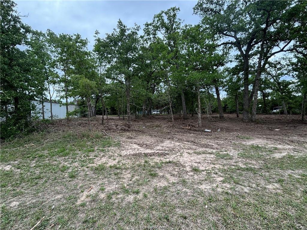 12175 Pr 57 Lane, Somerville, Texas image 9