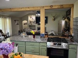 16227 County Road 489, Brazoria, Texas image 9