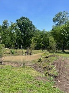 16227 County Road 489, Brazoria, Texas image 36