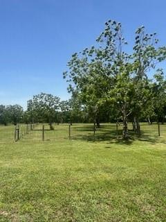 16227 County Road 489, Brazoria, Texas image 38