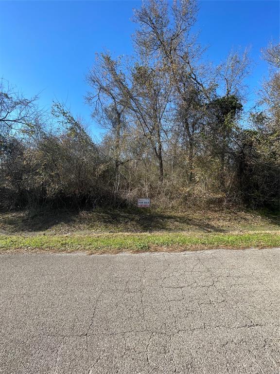 Yaupon Street, Baytown, Texas image 3