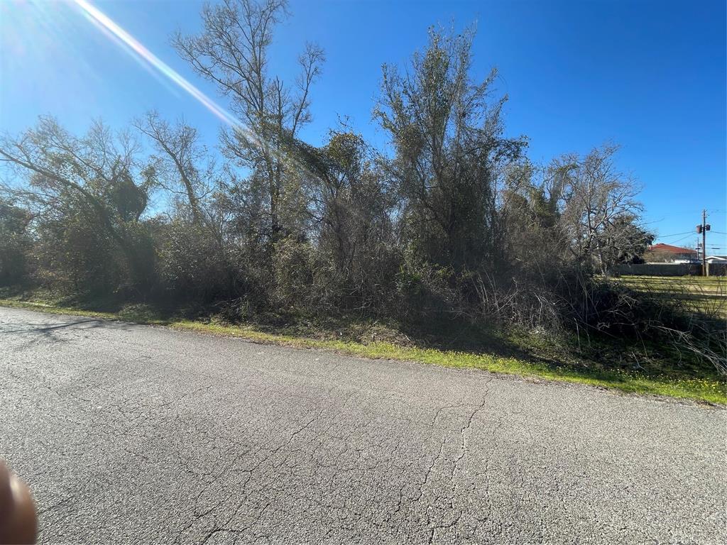 Yaupon Street, Baytown, Texas image 8