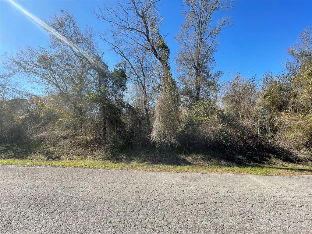 Yaupon Street, Baytown, Texas image 12