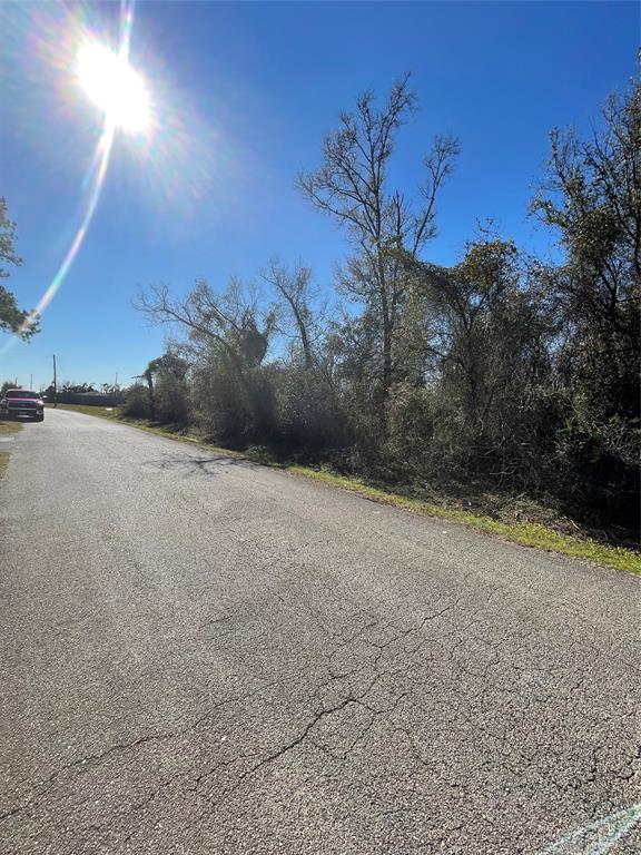 Yaupon Street, Baytown, Texas image 6