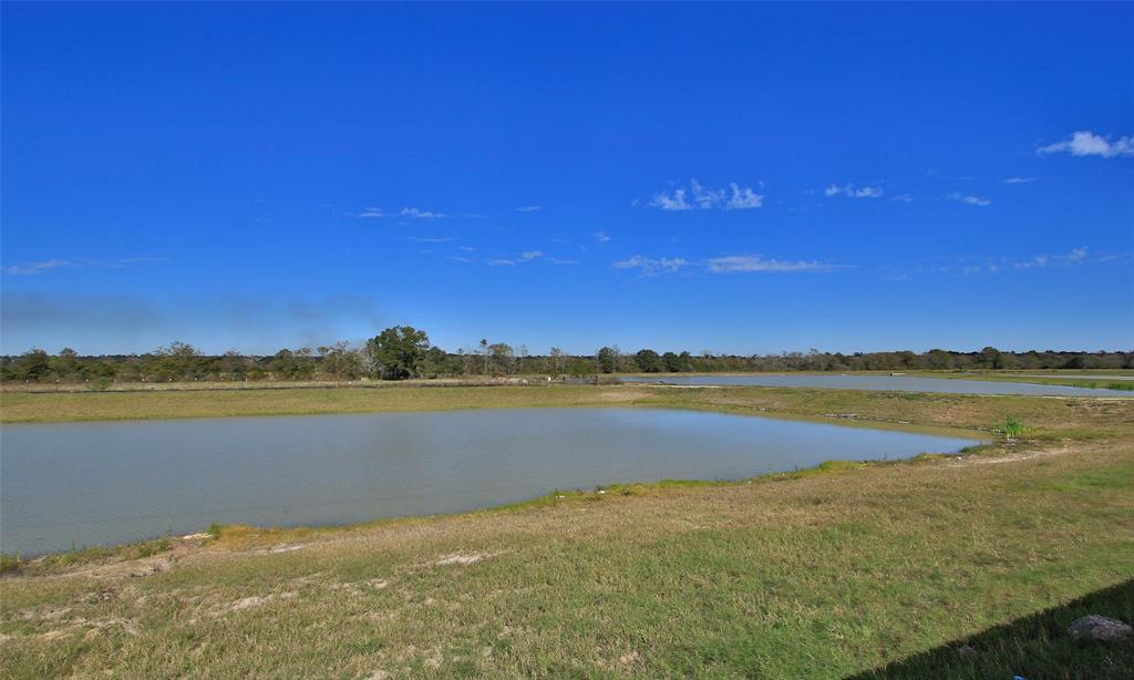 40752 Mostyn Lake Drive, Magnolia, Texas image 37