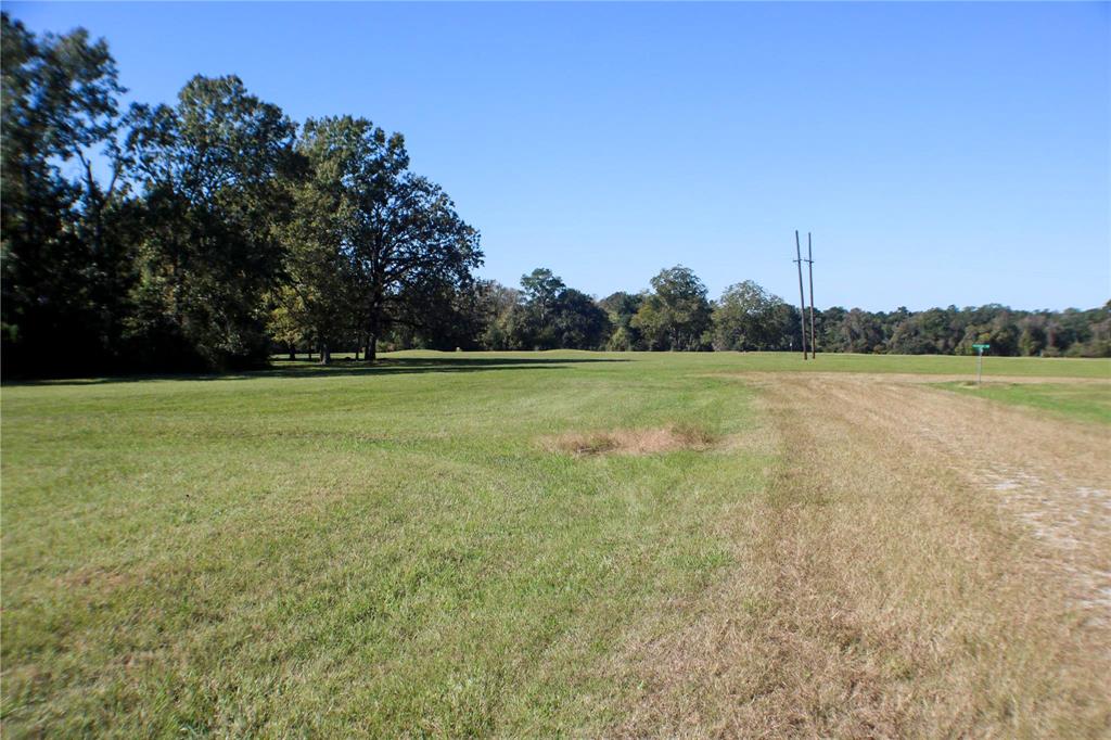 Lot 9 New Orleans, Trinity, Texas image 2