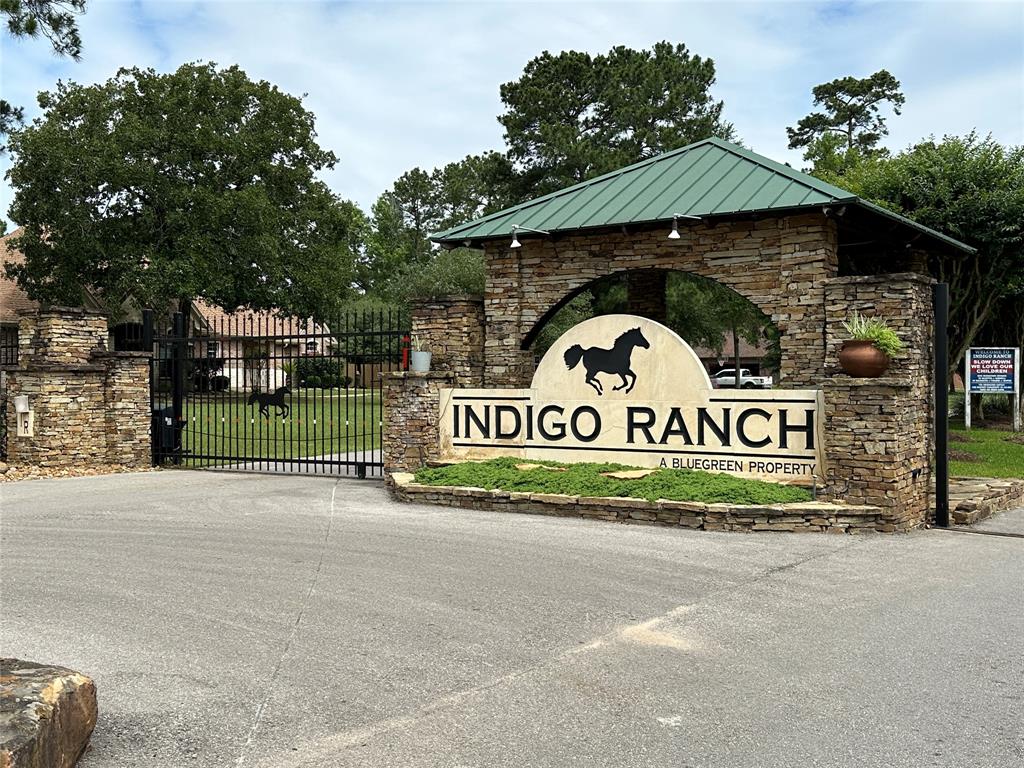 17103 Indigo Hills Drive, Magnolia, Texas image 1