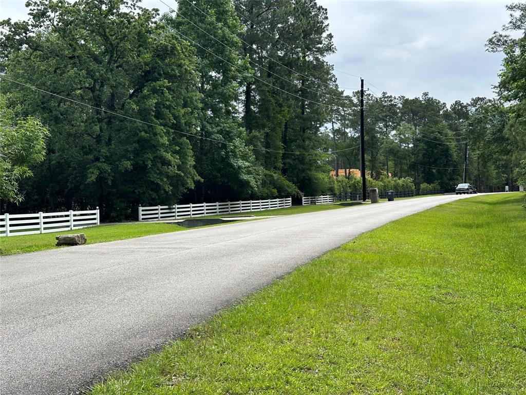 17103 Indigo Hills Drive, Magnolia, Texas image 3