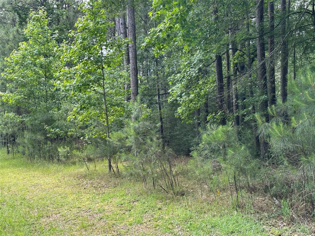 17103 Indigo Hills Drive, Magnolia, Texas image 4
