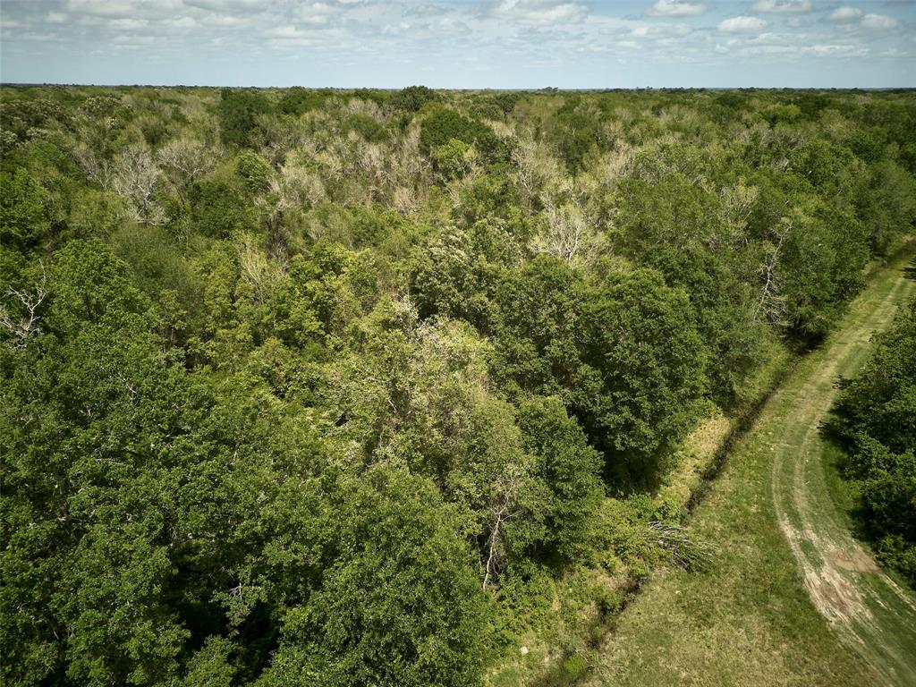 3627 Fm 1409, Dayton, Texas image 9