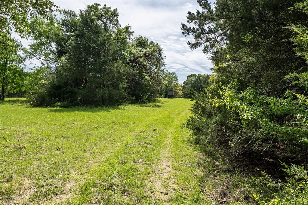 TBD Us-287, Palestine, Texas image 37