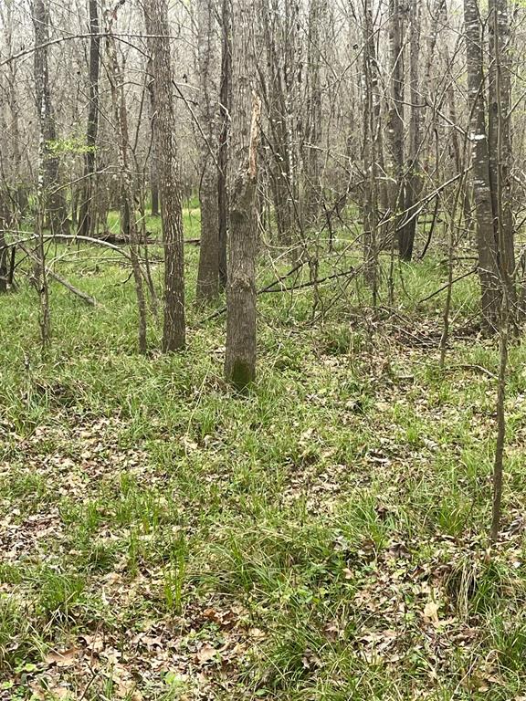 TBD County Road 2505, Liberty, Texas image 3