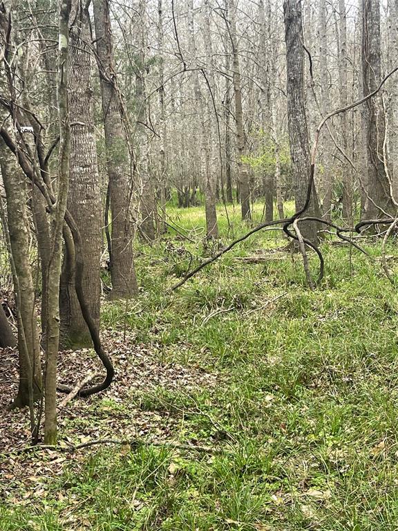TBD County Road 2505, Liberty, Texas image 2