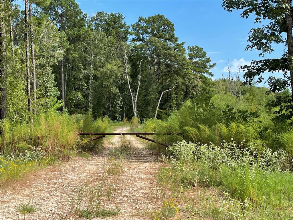 10-22-98 Granite Road, Huntsville, Texas image 6