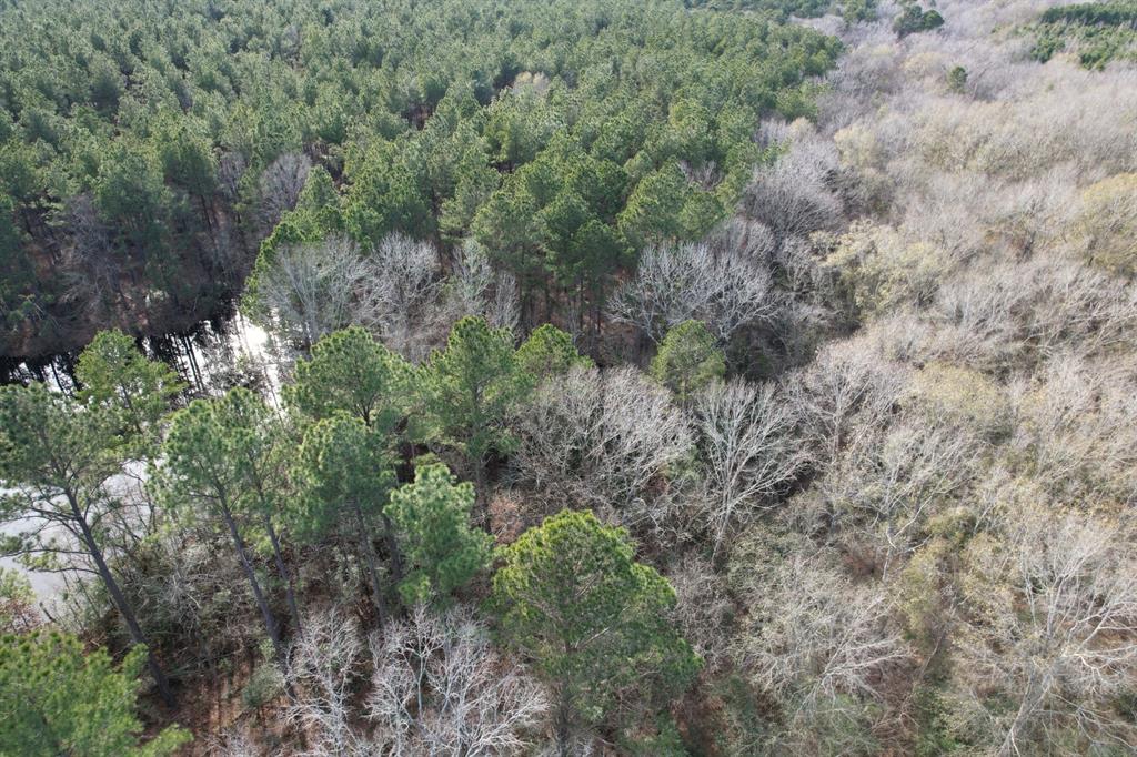 Tract C County Road 4037, Timpson, Texas image 6