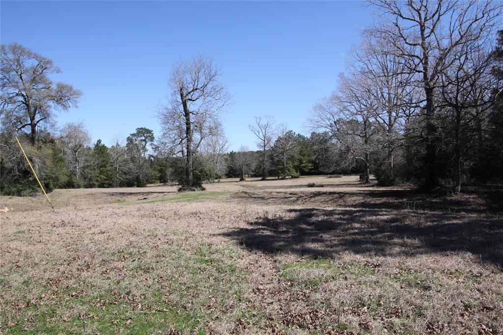 1522 Us Highway 287, Woodville, Texas image 12