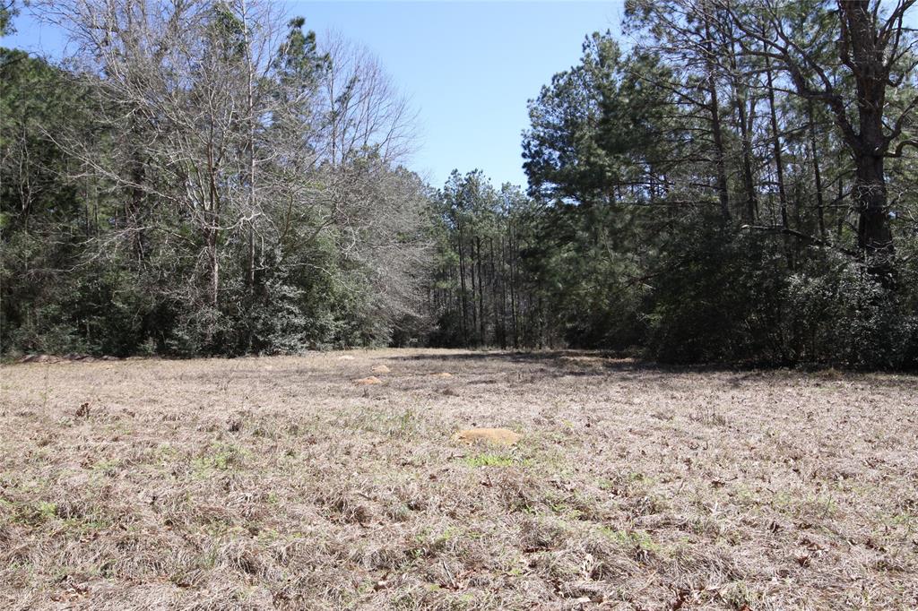 1522 Us Highway 287, Woodville, Texas image 17