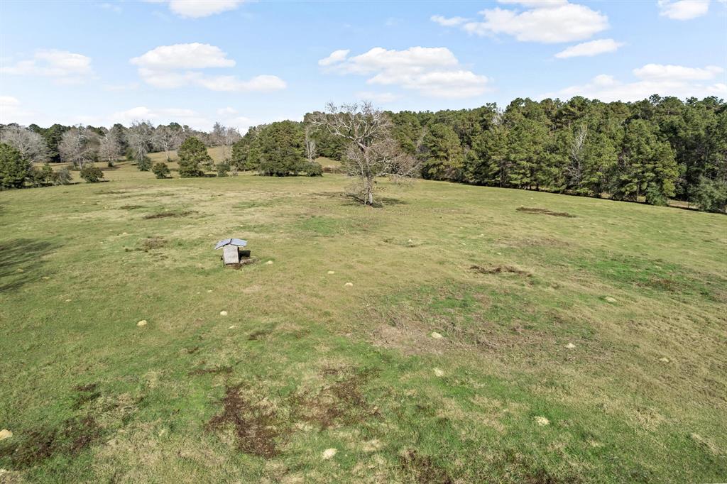 1522 Us Highway 287, Woodville, Texas image 4