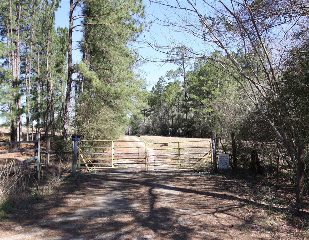 1522 Us Highway 287, Woodville, Texas image 2