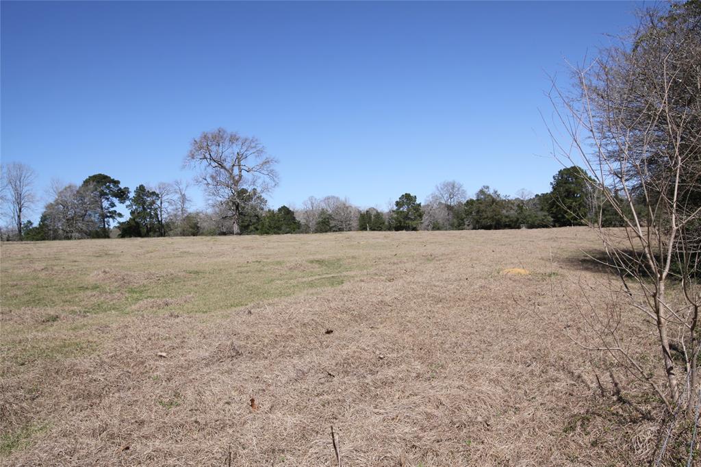 1522 Us Highway 287, Woodville, Texas image 8