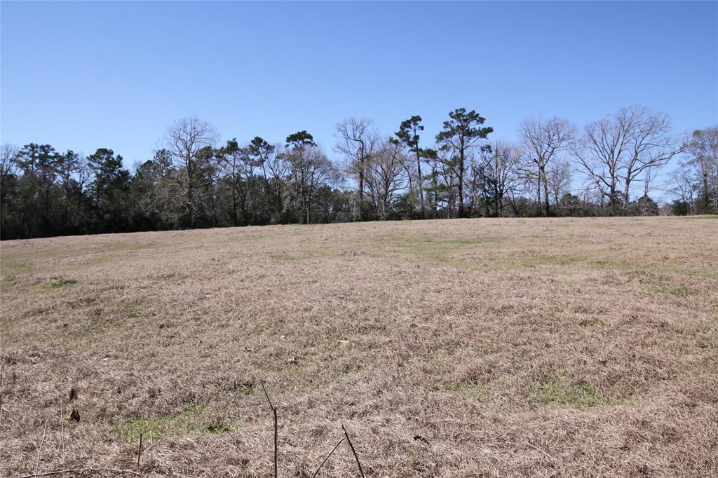 1522 Us Highway 287, Woodville, Texas image 7