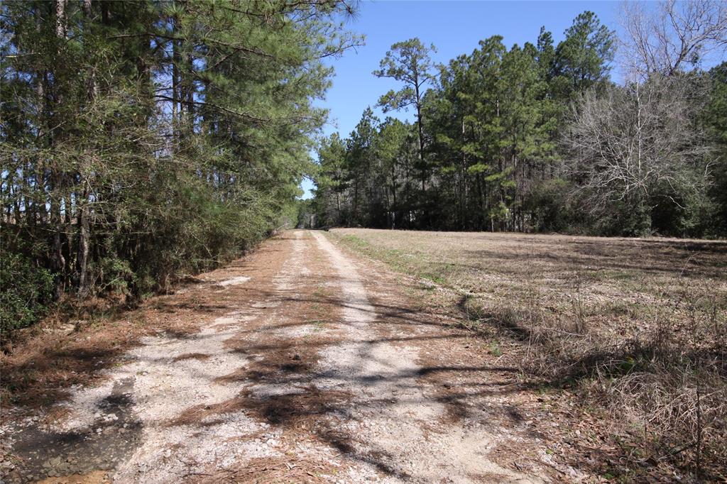 1522 Us Highway 287, Woodville, Texas image 3