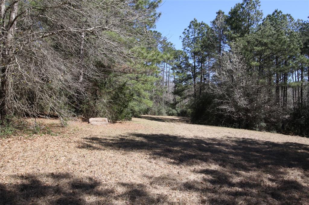 1522 Us Highway 287, Woodville, Texas image 18