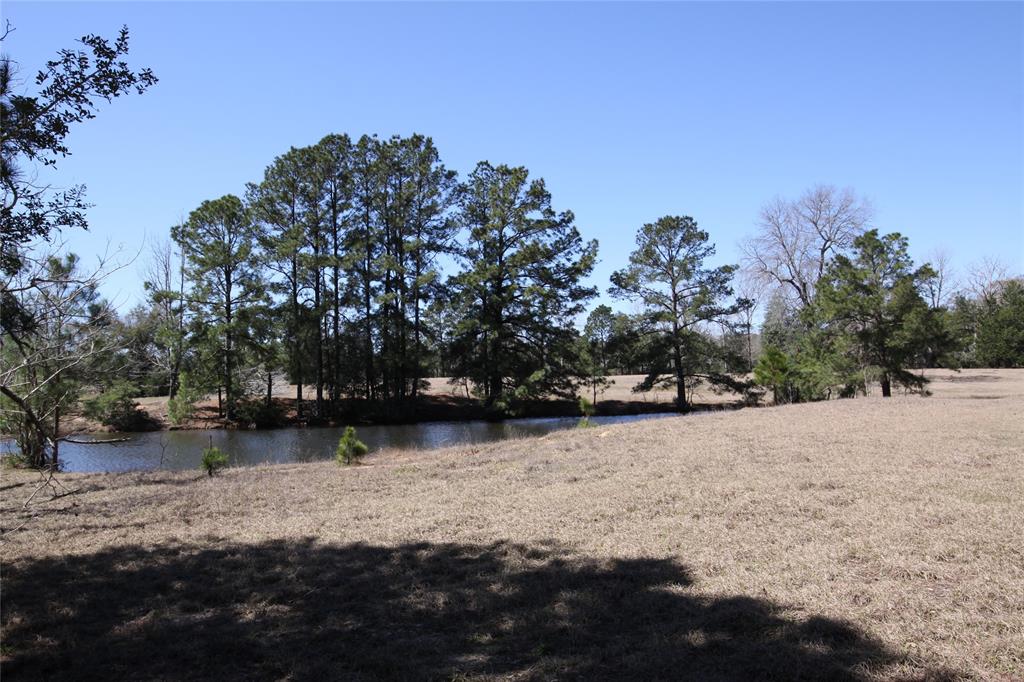 1522 Us Highway 287, Woodville, Texas image 6
