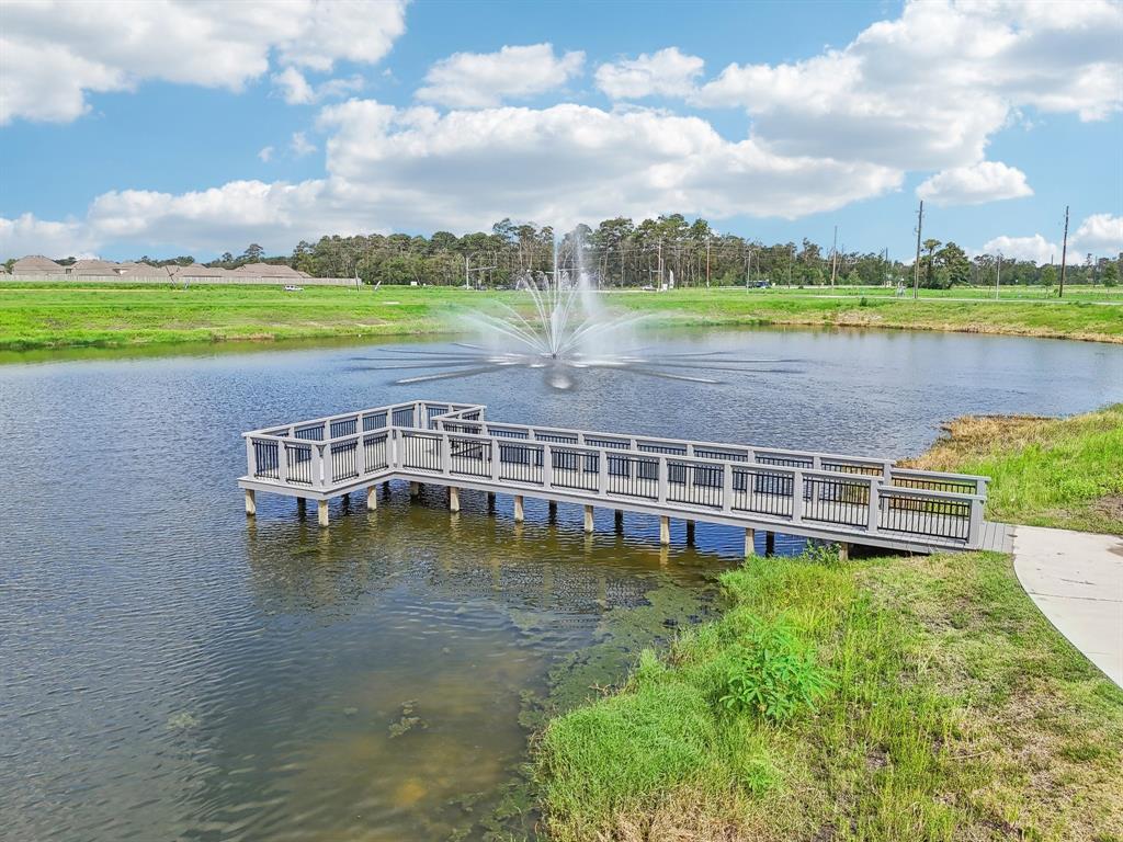 215 Coral Drift Court, Crosby, Texas image 32