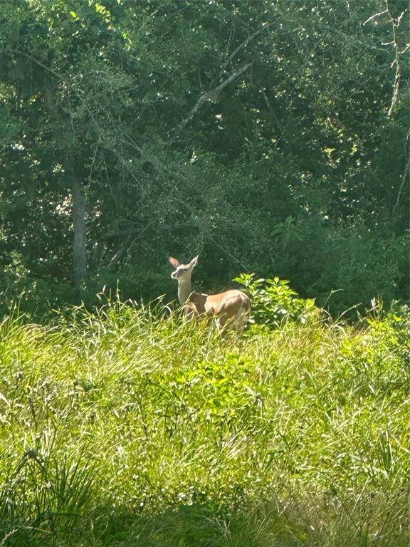 Tract 173 Private Road 1311