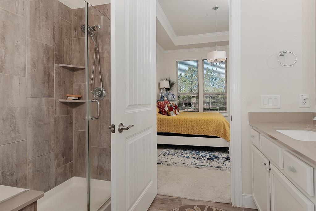 247 Arabian Drive, The Woodlands, Texas image 19