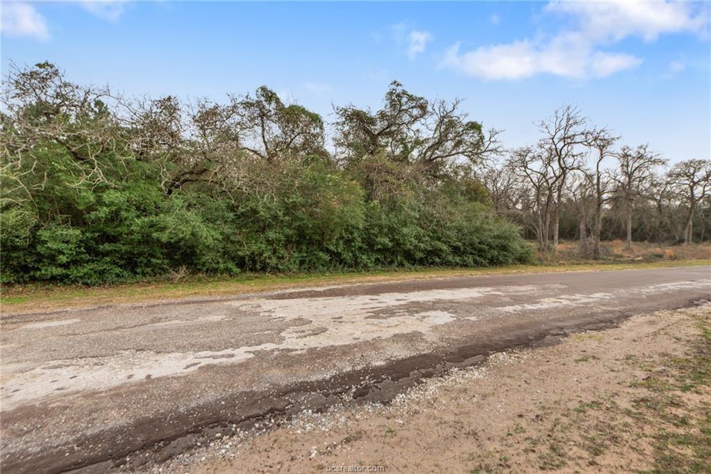 Lot 18 Jamaica, Hilltop Lakes, Texas image 6