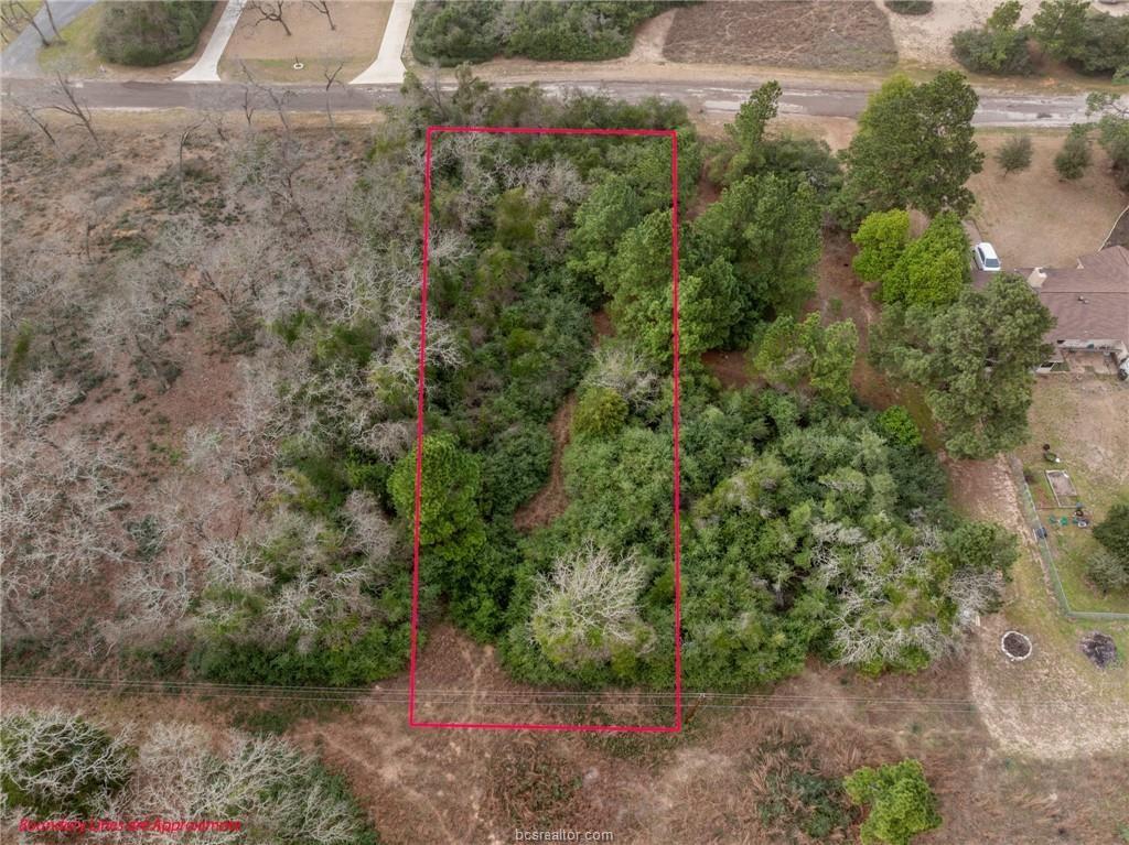 Lot 18 Jamaica, Hilltop Lakes, Texas image 2