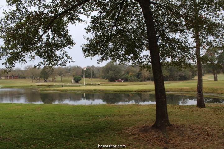 Lot 18 Jamaica, Hilltop Lakes, Texas image 18