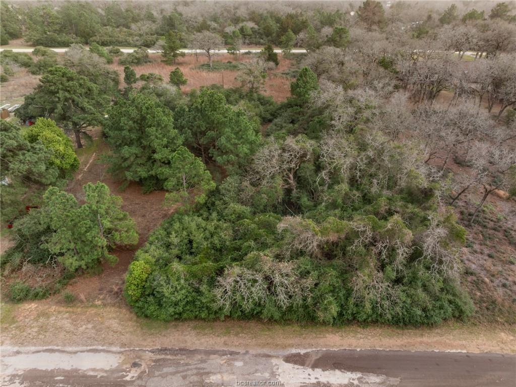 Lot 18 Jamaica, Hilltop Lakes, Texas image 3