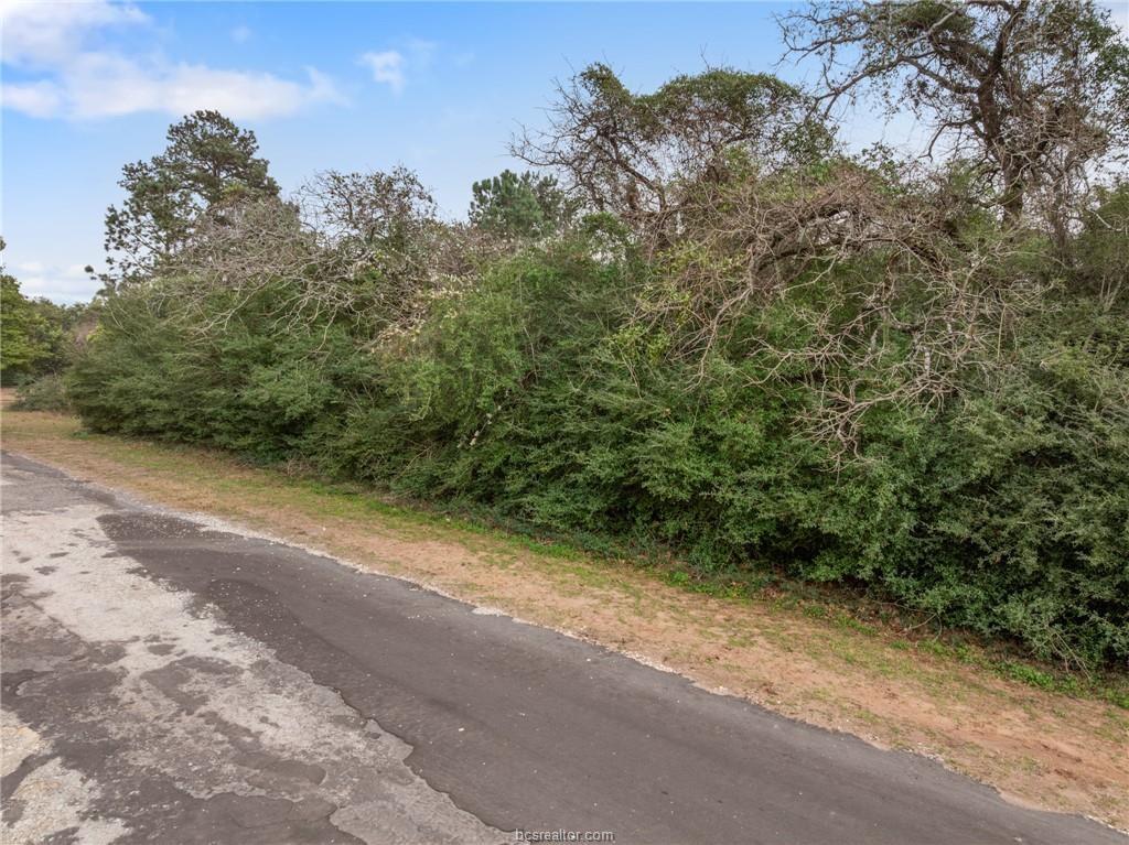 Lot 18 Jamaica, Hilltop Lakes, Texas image 4