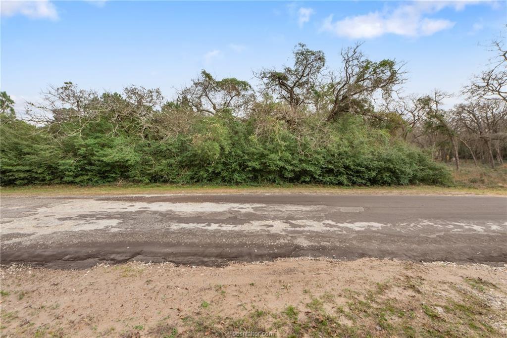 Lot 18 Jamaica, Hilltop Lakes, Texas image 5